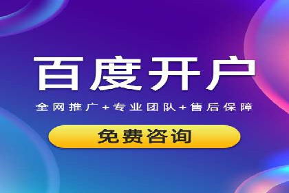 知名SEM公司案例分析：优化策略与成果
